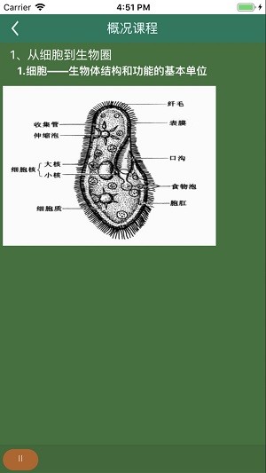 松鼠高中生物安卓版