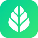 SGreen浏览器破解版